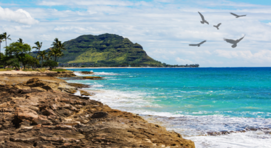 5 motivos Para Conhecer a Ilha de Oahu