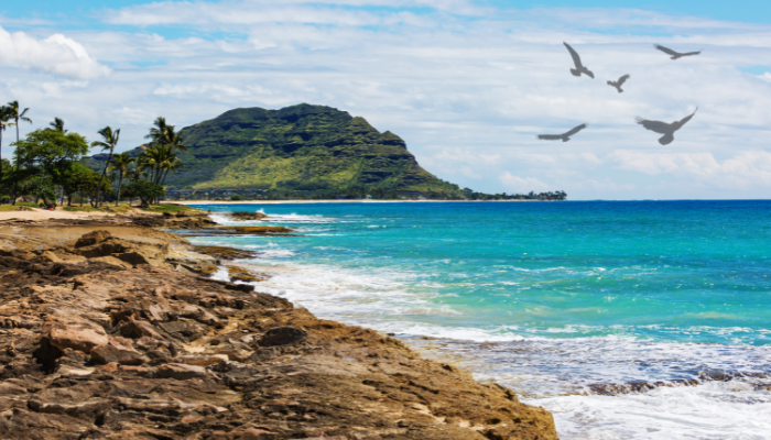 5 motivos Para Conhecer a Ilha de Oahu