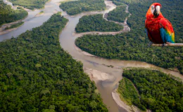 Petróleo na Foz do Amazonas