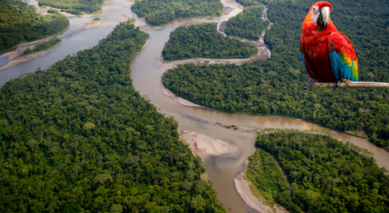 Petróleo na Foz do Amazonas