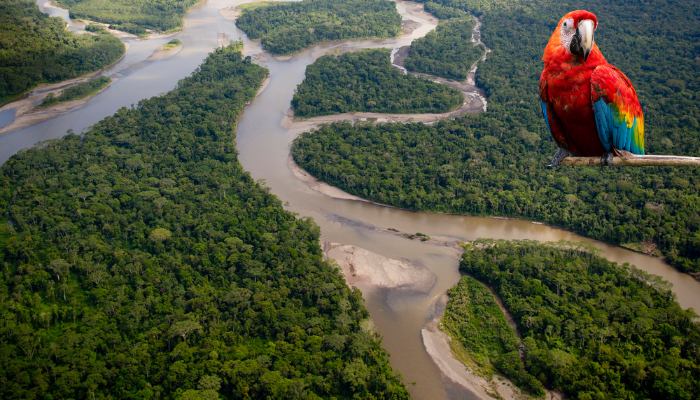 Petróleo na Foz do Amazonas